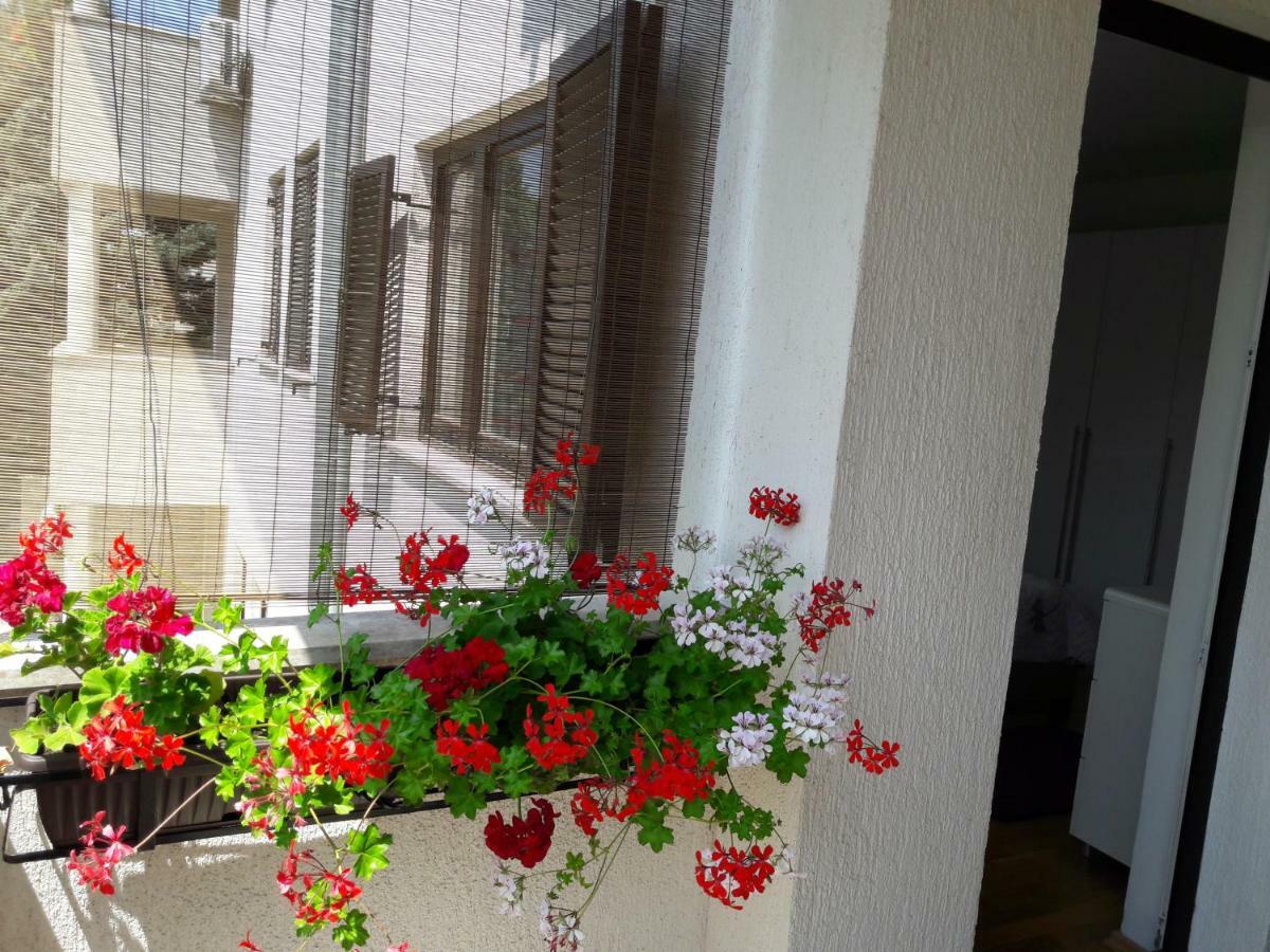 Apartments Ruzica Póla Kültér fotó